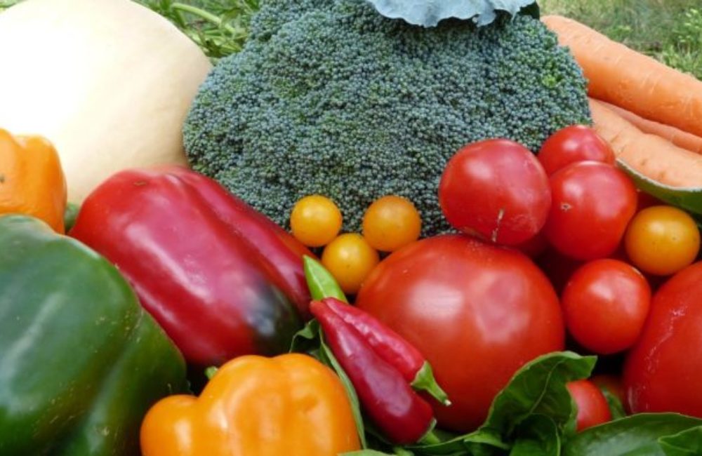 Blog-bounty on a budget