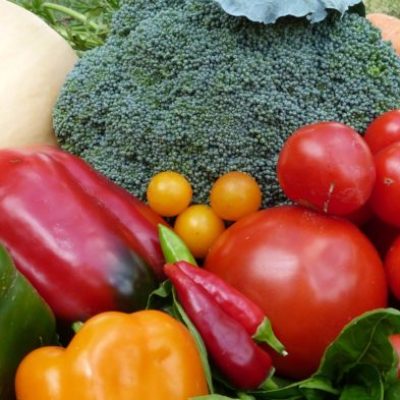 Blog-bounty on a budget