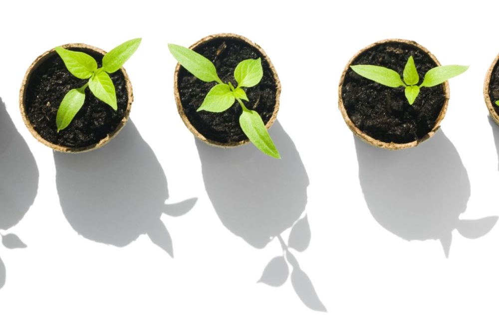 USEDiStock-149058414cropped