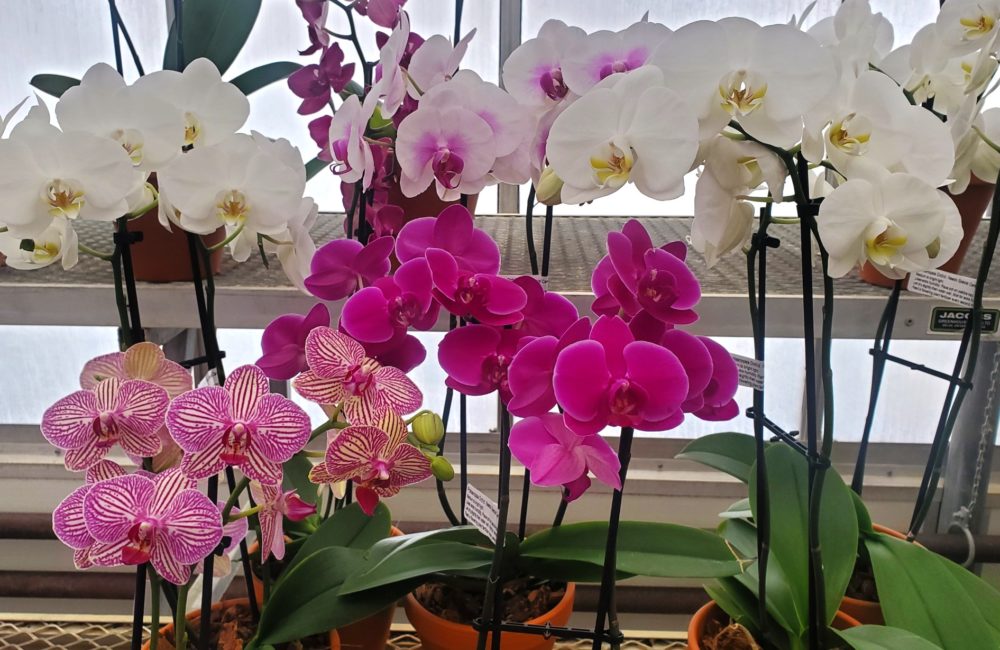 20230221_142815_recoloured