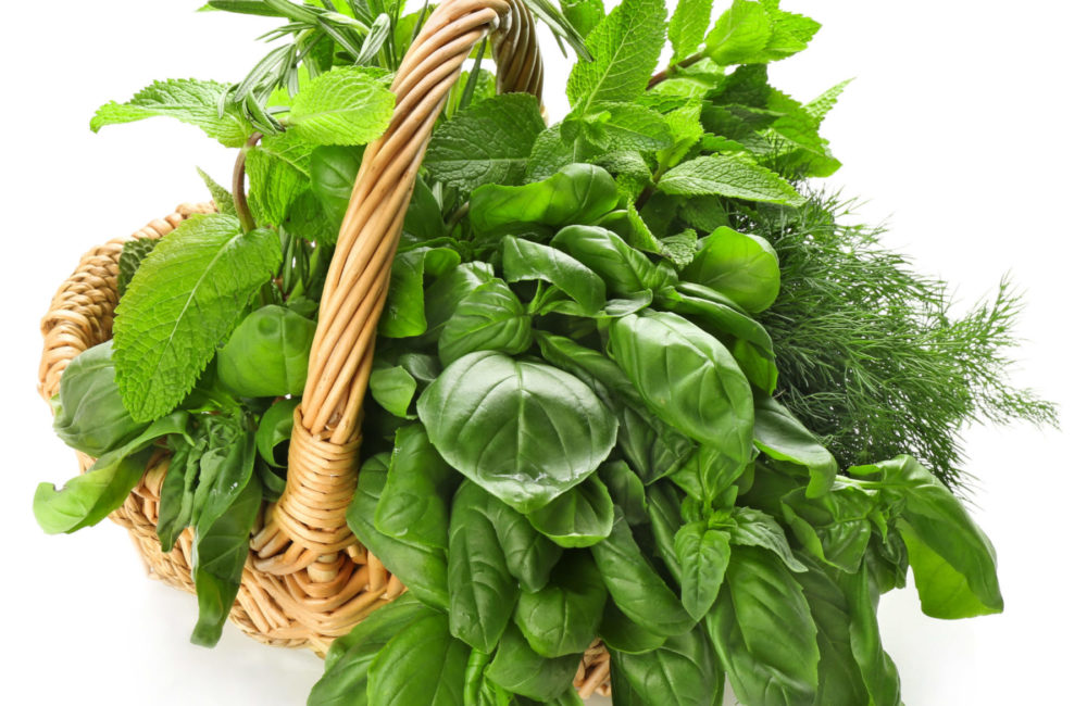 Wicker basket with fresh herbs on white background