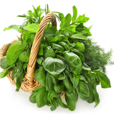 Wicker basket with fresh herbs on white background