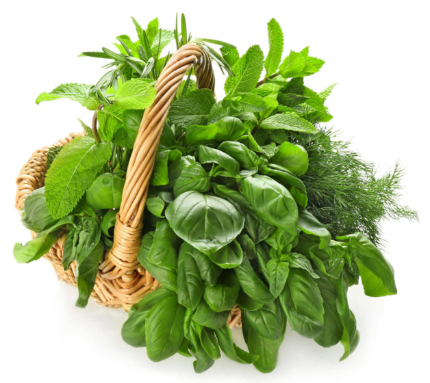 Wicker basket with fresh herbs on white background